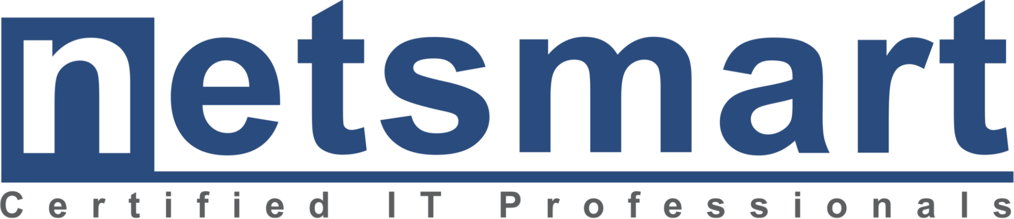 Netsmart Logo